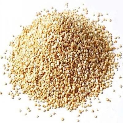 Quinua lavada a granel