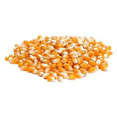 Maiz Pop Corn a Granel por Kg